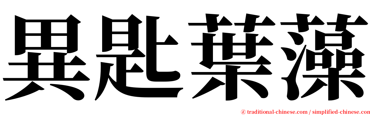 異匙葉藻 serif font