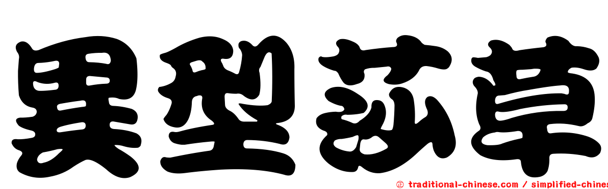 異型莎草