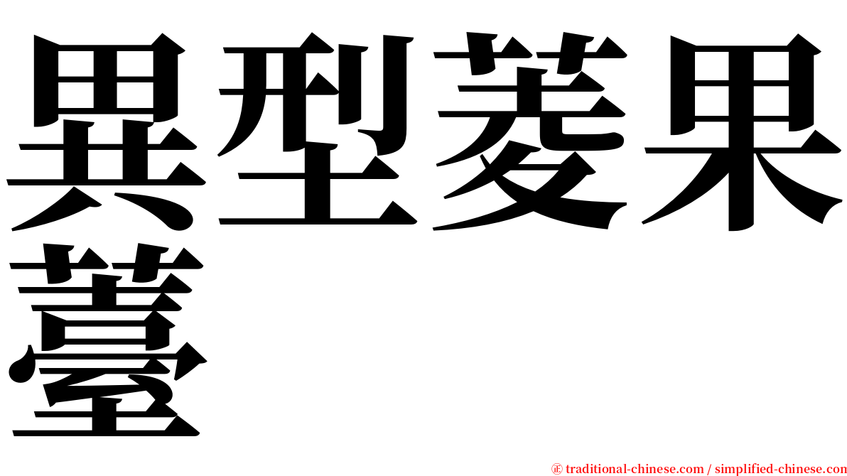 異型菱果薹 serif font