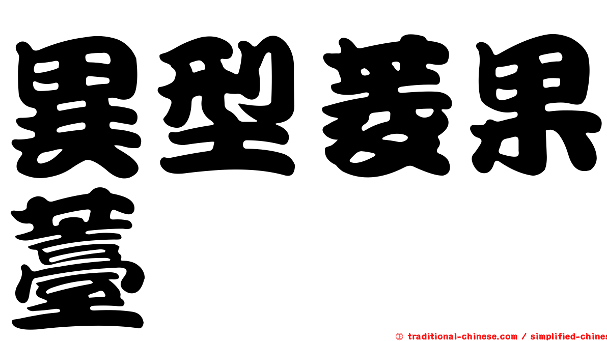 異型菱果薹