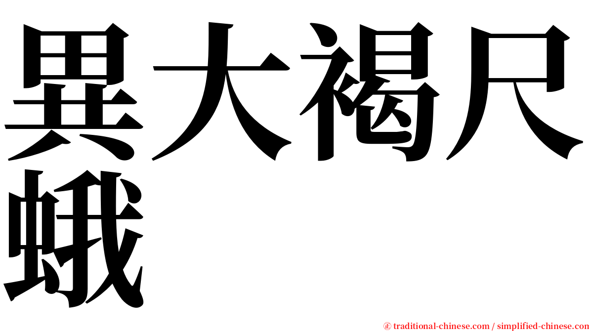 異大褐尺蛾 serif font