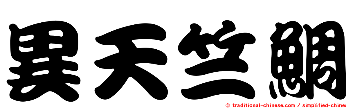 異天竺鯛
