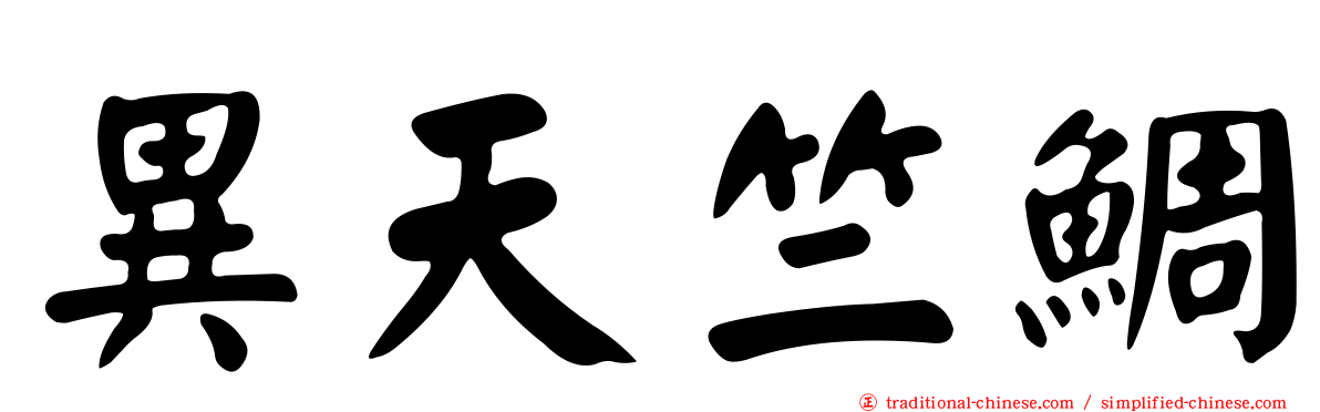 異天竺鯛