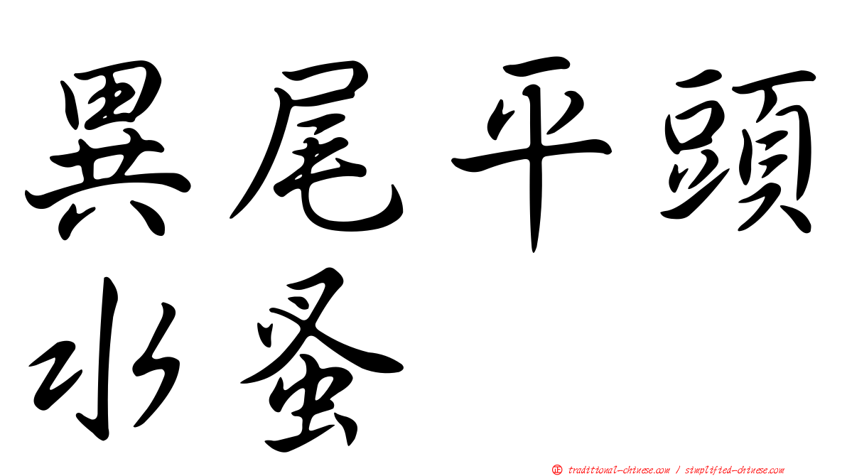 異尾平頭水蚤