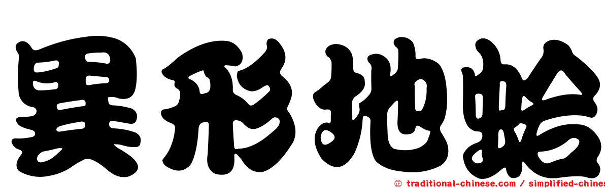 異形地蛤