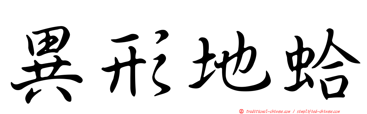 異形地蛤