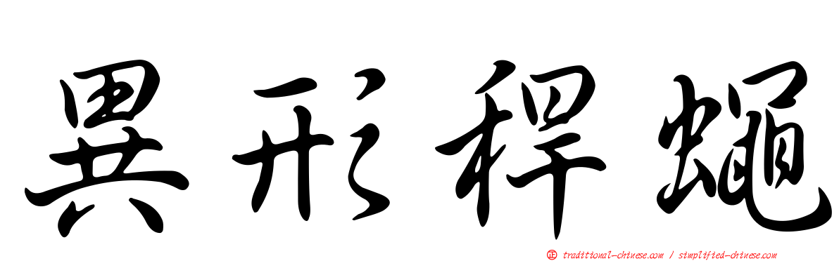 異形稈蠅