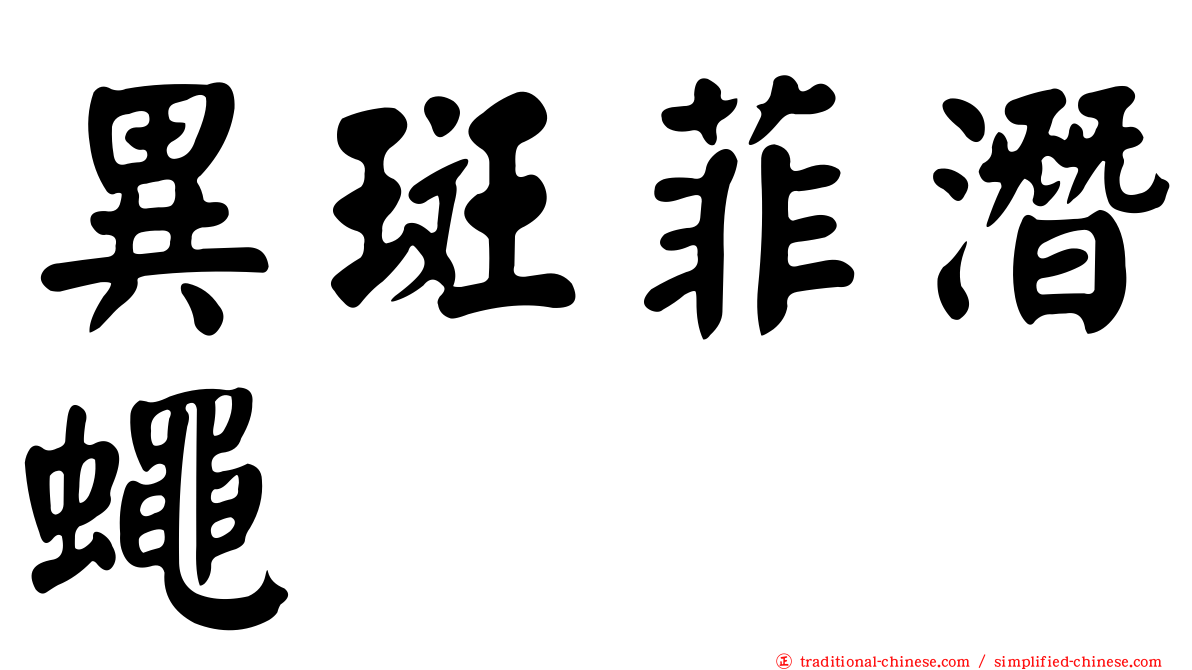 異斑菲潛蠅