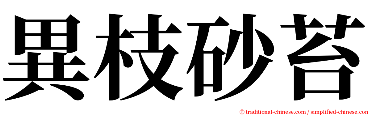 異枝砂苔 serif font