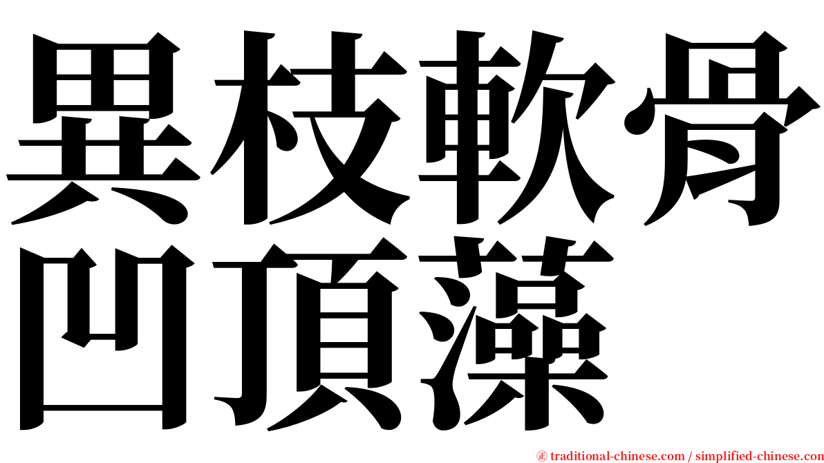 異枝軟骨凹頂藻 serif font