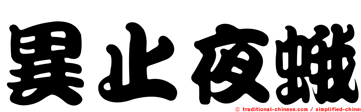 異止夜蛾