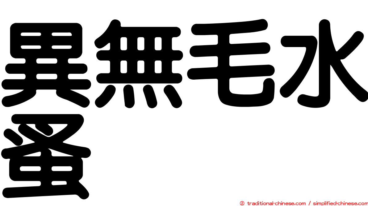 異無毛水蚤