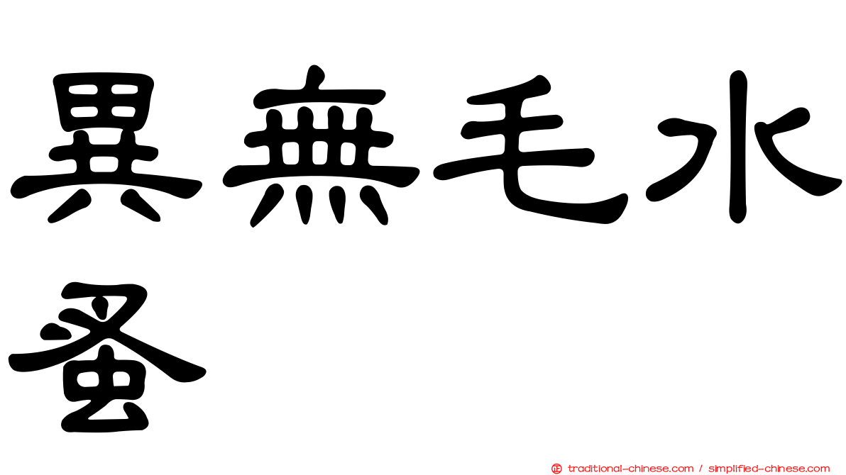 異無毛水蚤