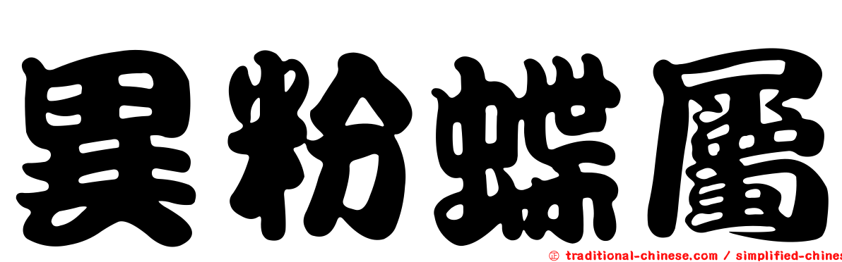 異粉蝶屬