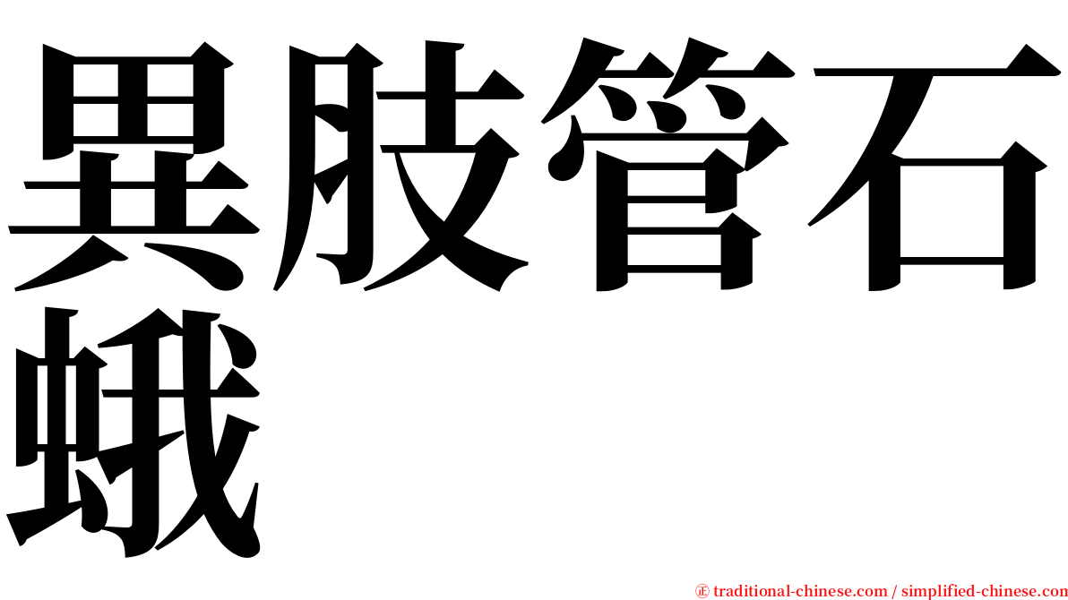異肢管石蛾 serif font