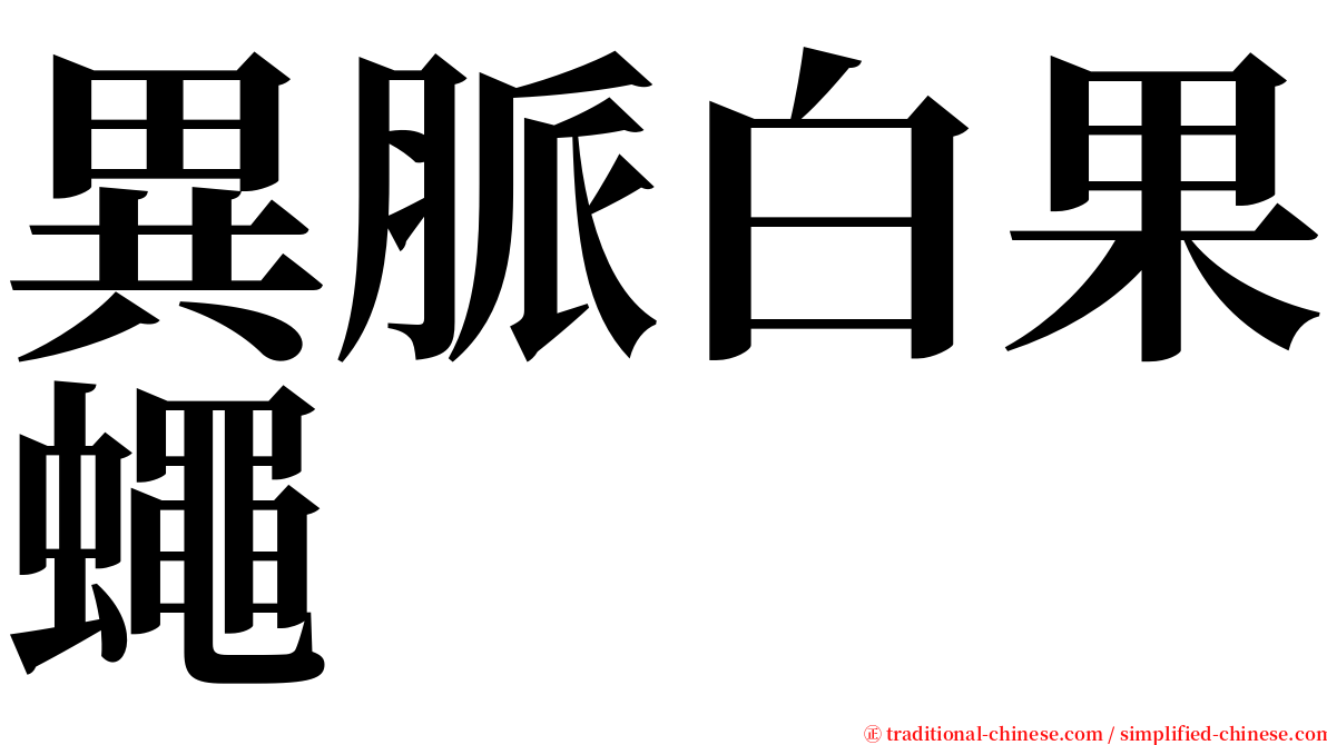 異脈白果蠅 serif font