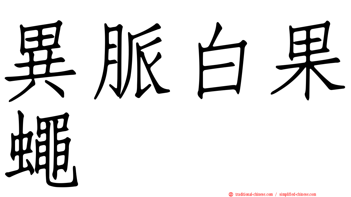 異脈白果蠅