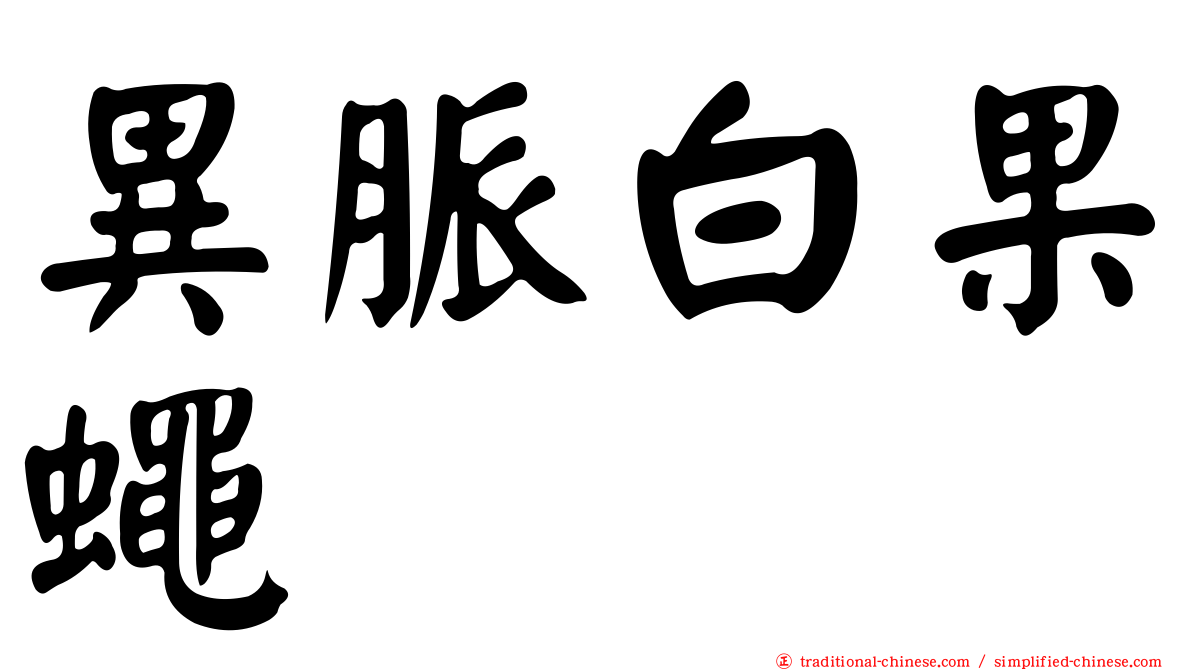 異脈白果蠅