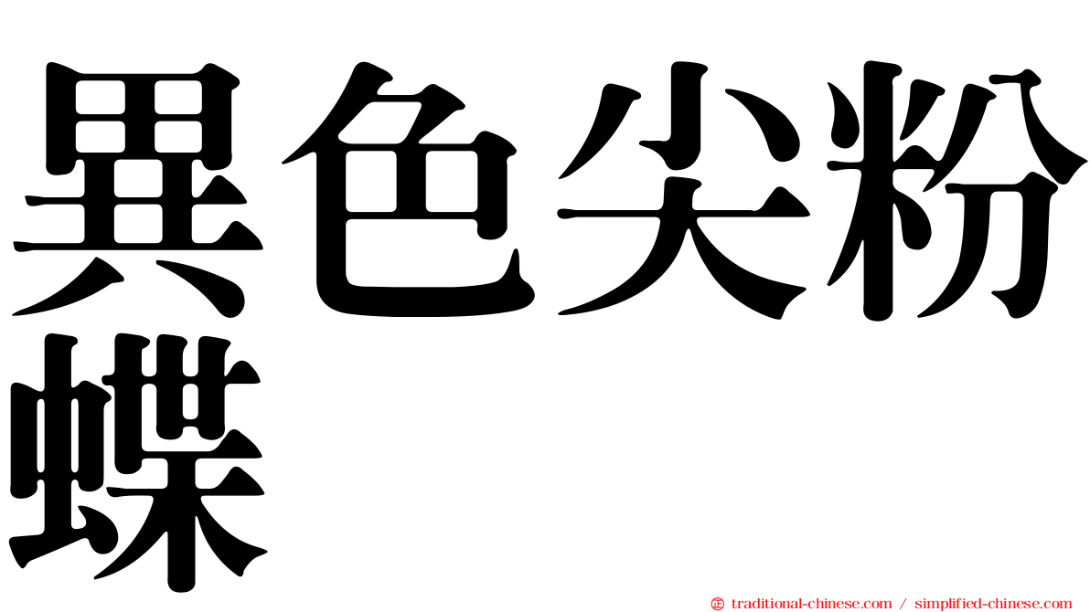 異色尖粉蝶