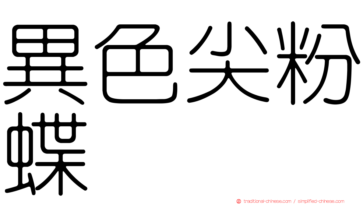 異色尖粉蝶