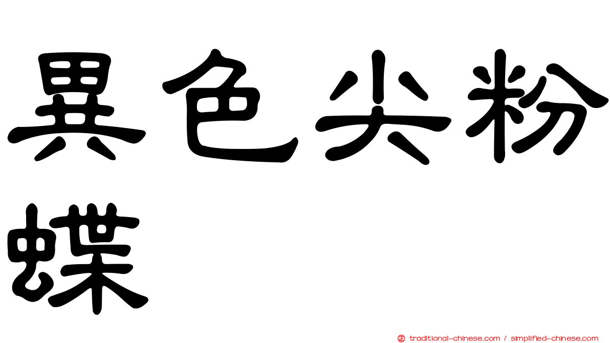 異色尖粉蝶