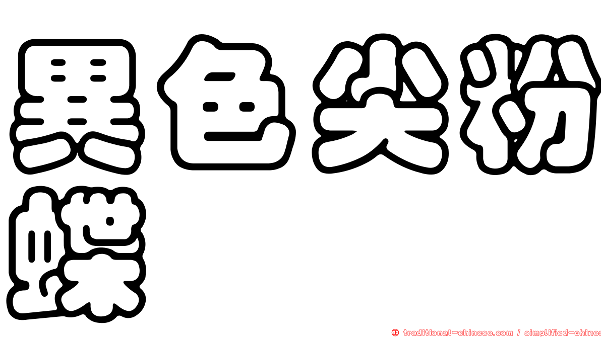 異色尖粉蝶
