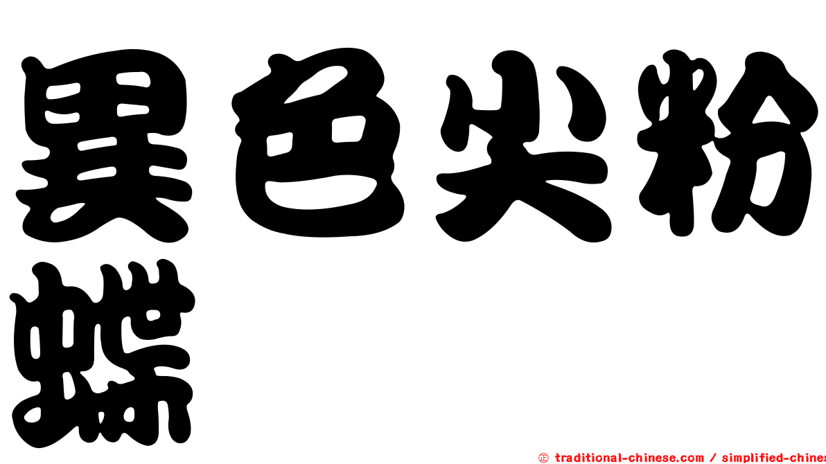 異色尖粉蝶