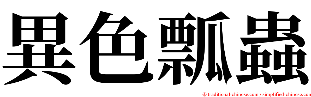 異色瓢蟲 serif font