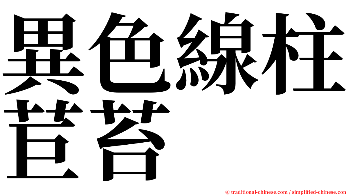 異色線柱苣苔 serif font