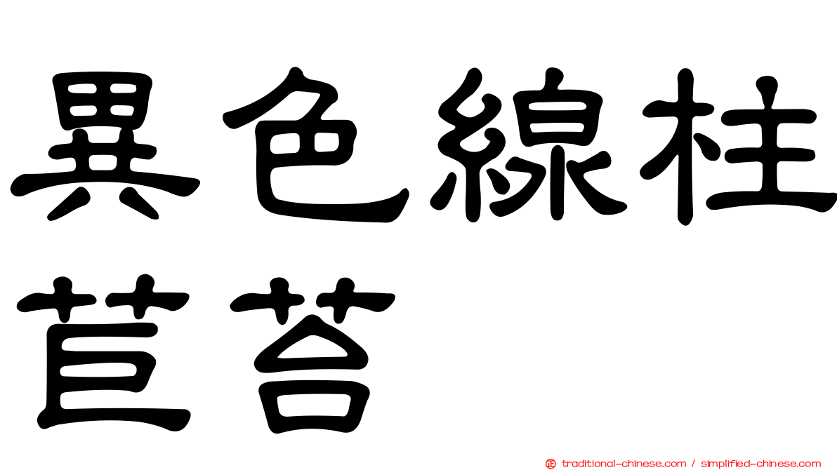異色線柱苣苔
