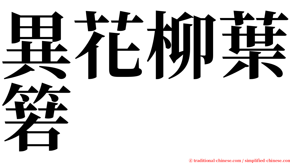 異花柳葉箬 serif font