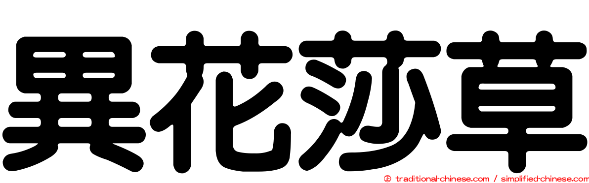 異花莎草