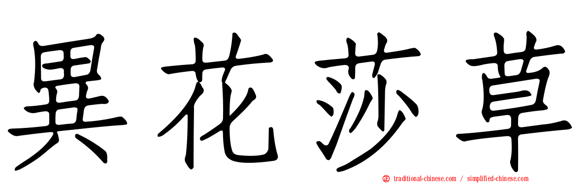 異花莎草