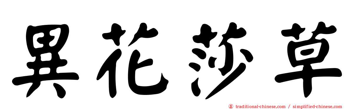 異花莎草