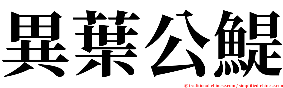 異葉公鯷 serif font