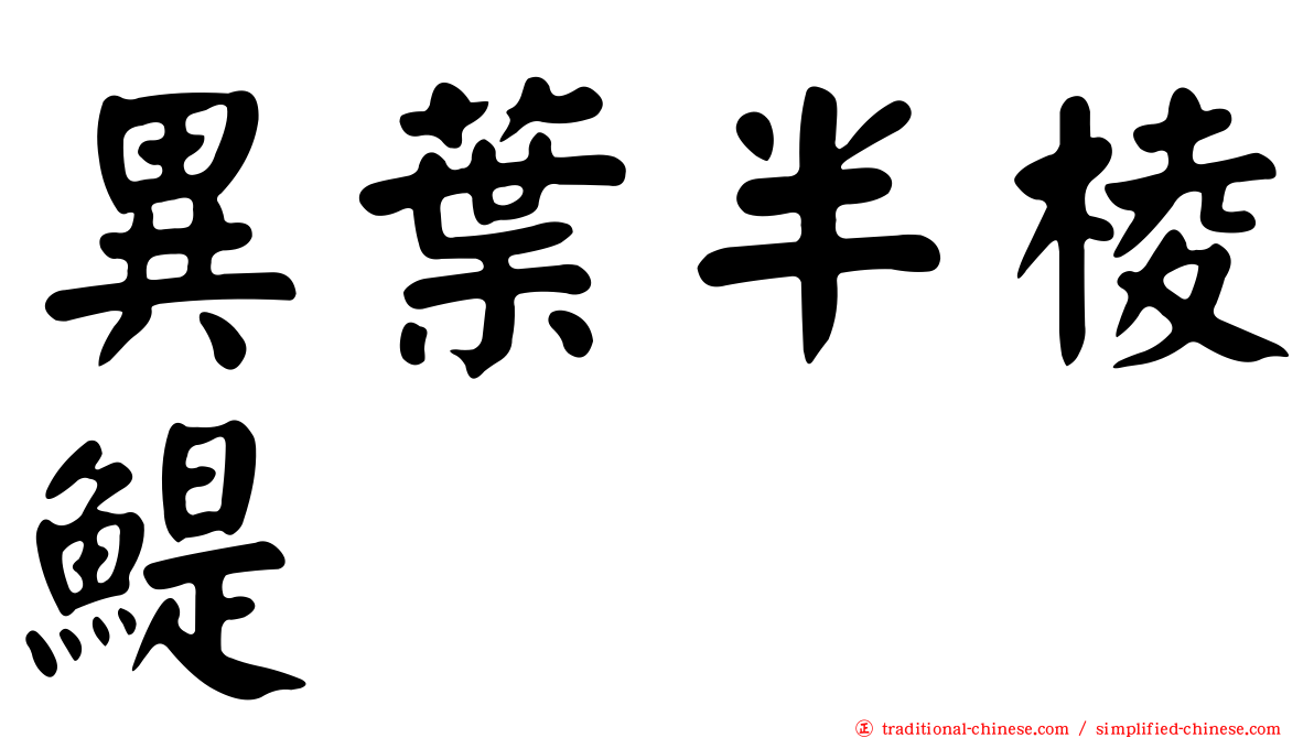 異葉半棱鯷