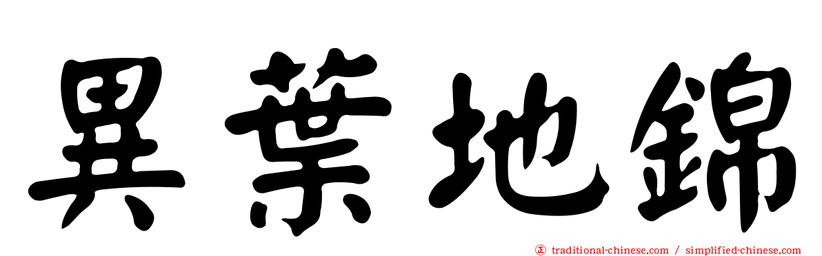 異葉地錦