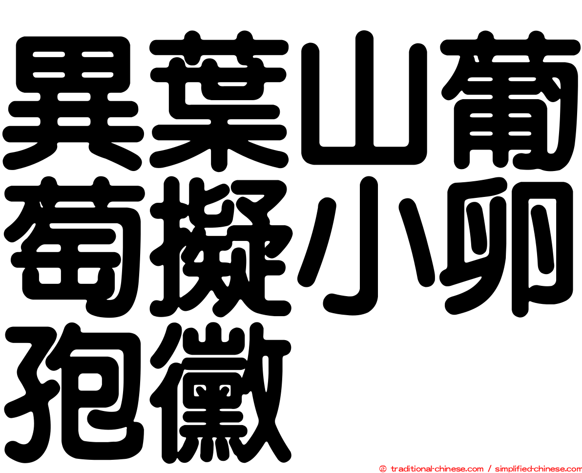 異葉山葡萄擬小卵孢黴