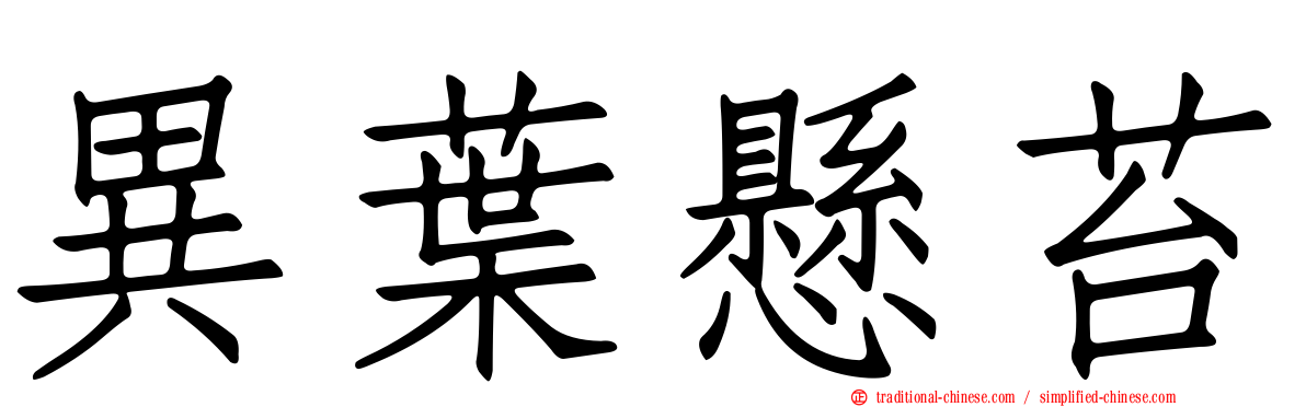 異葉懸苔