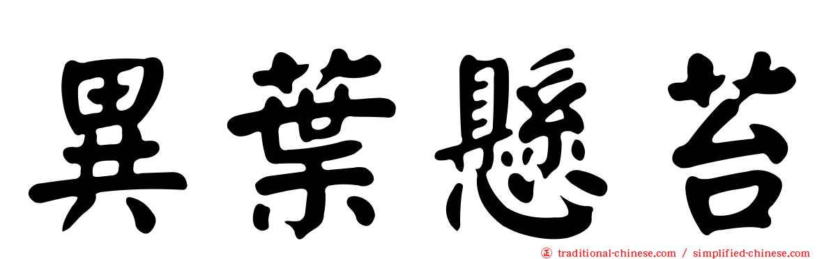 異葉懸苔