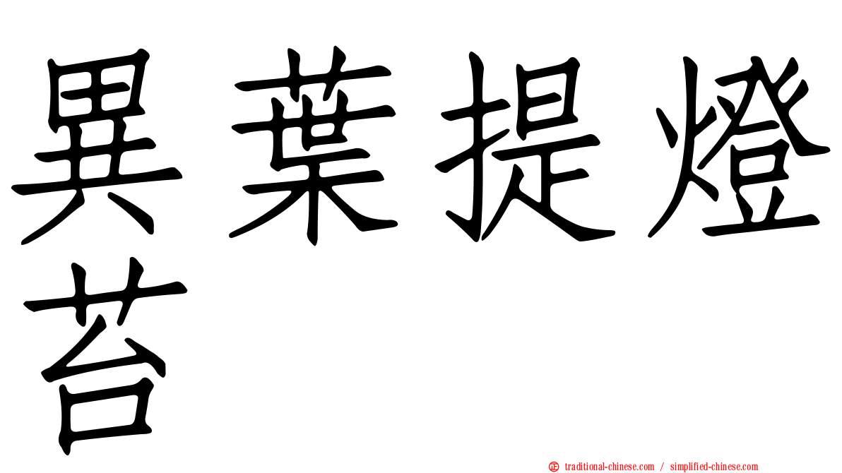 異葉提燈苔