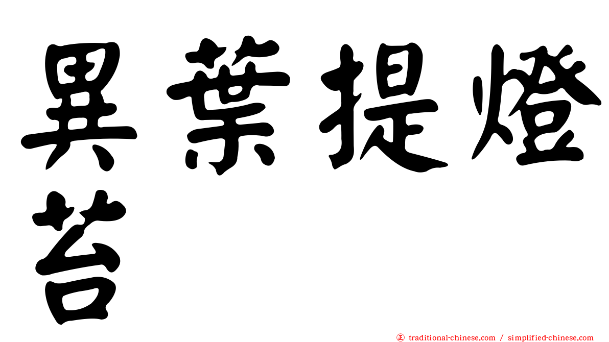 異葉提燈苔