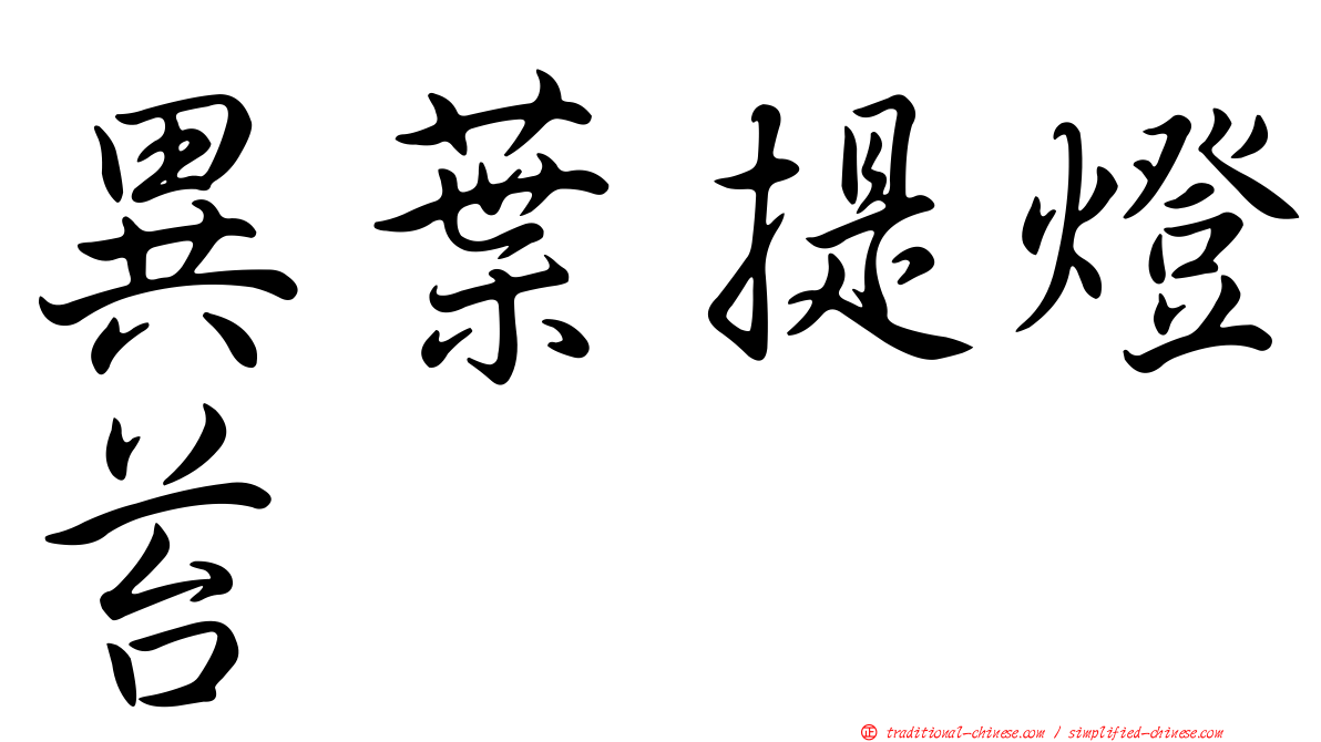 異葉提燈苔