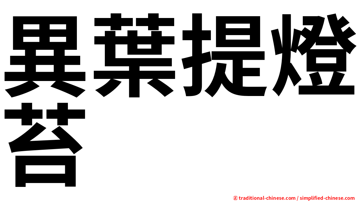 異葉提燈苔