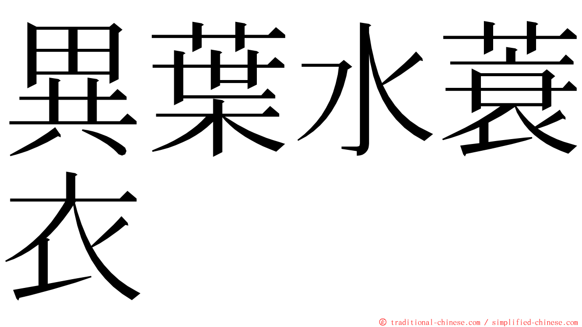 異葉水蓑衣 ming font