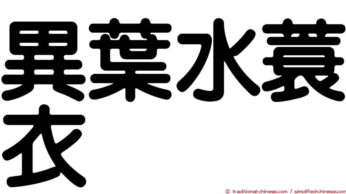 異葉水蓑衣