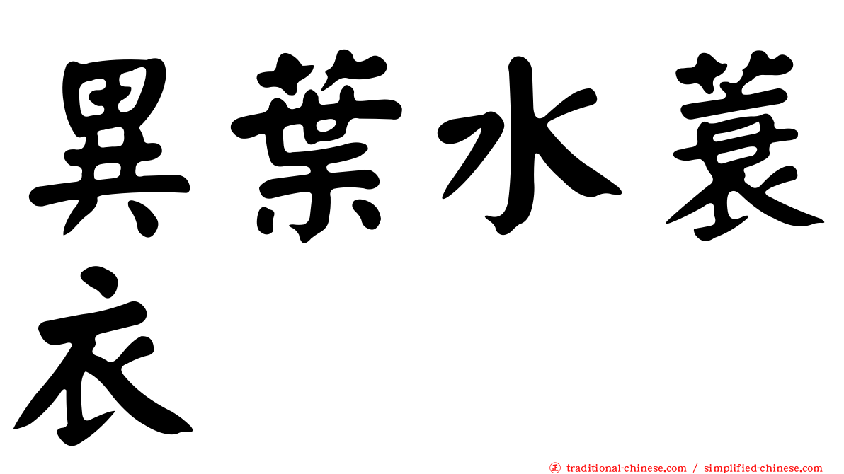 異葉水蓑衣