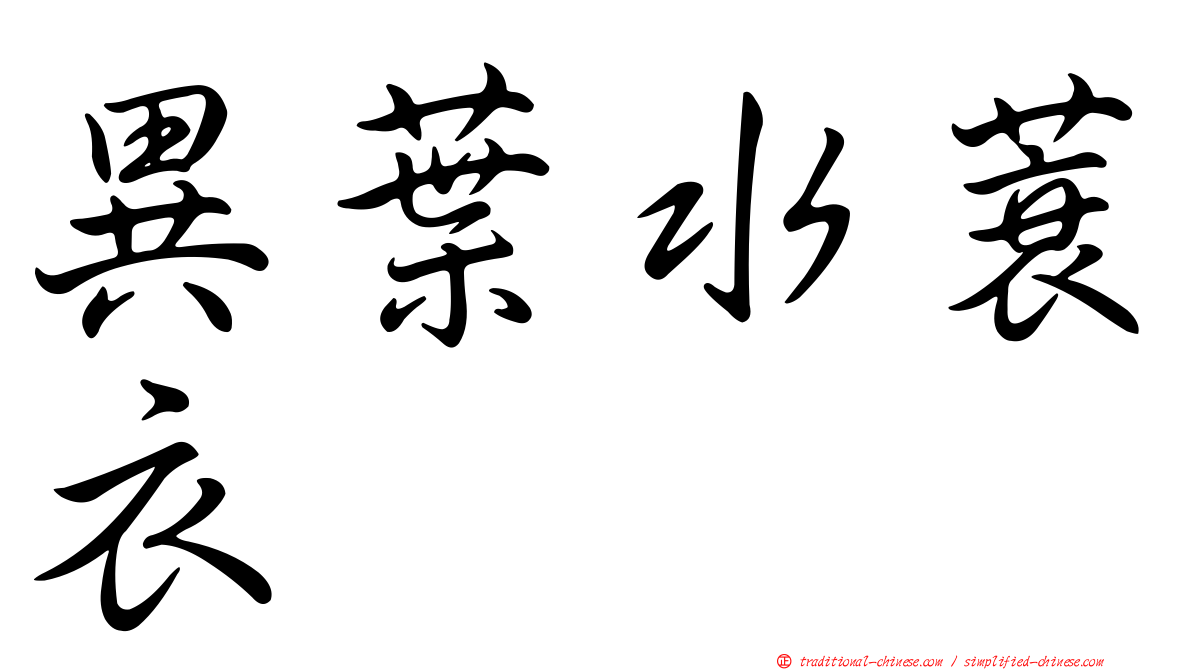 異葉水蓑衣