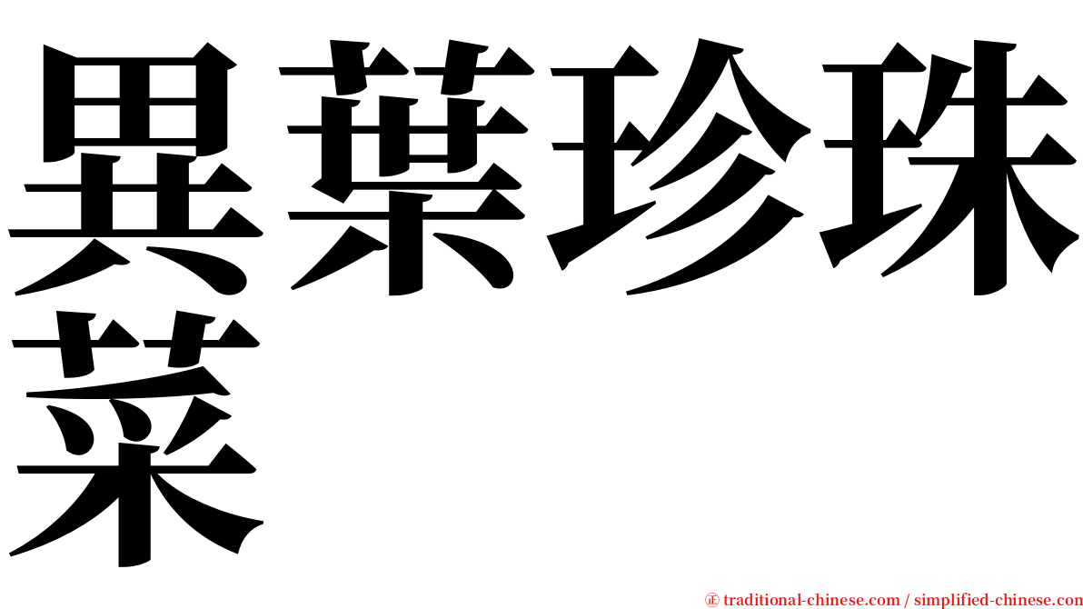 異葉珍珠菜 serif font
