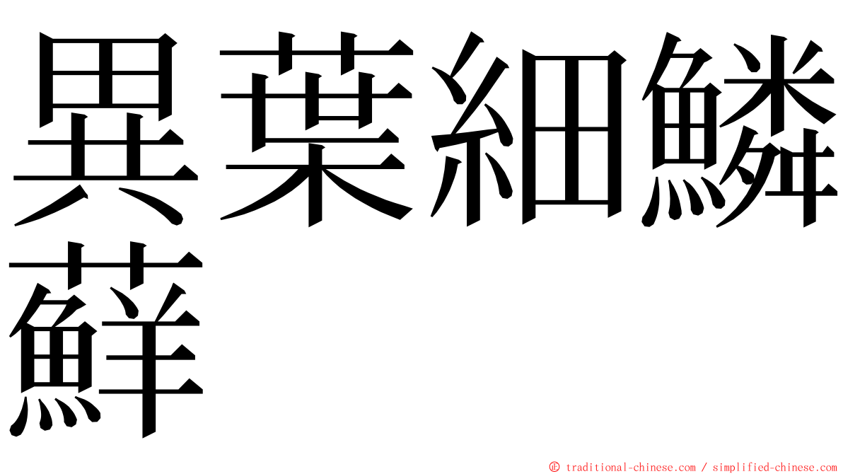 異葉細鱗蘚 ming font